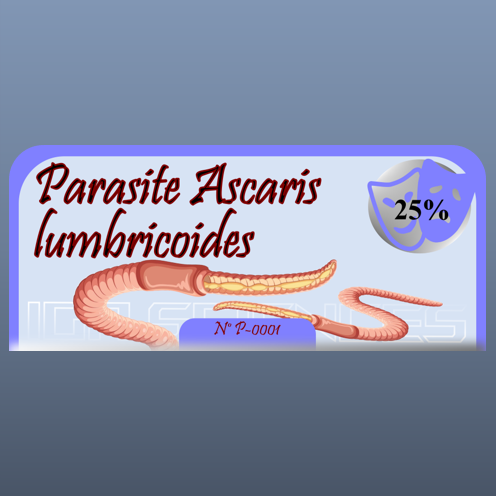 Parasite : Ascaris lumbricoides