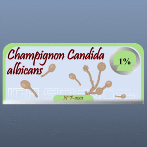 Champignon Candida albicans