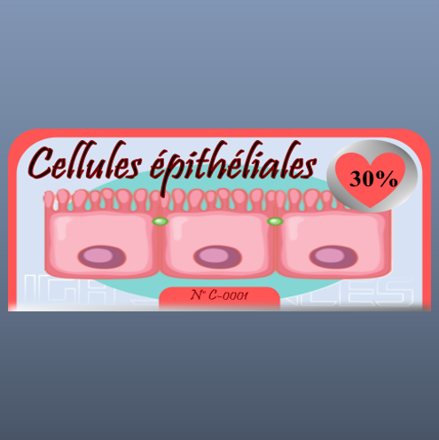 Cellules épithéliales