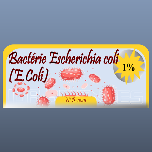 Bactérie Escherichia coli (E.Coli)