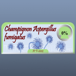 Champignon Aspergillus fumigatus