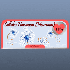 Cellules Nerveuses (Neurones)