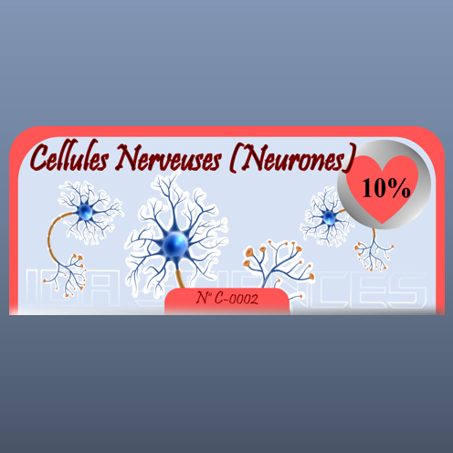 Cellules Nerveuses (Neurones)