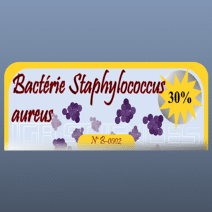 Bactérie Staphylococcus aureus