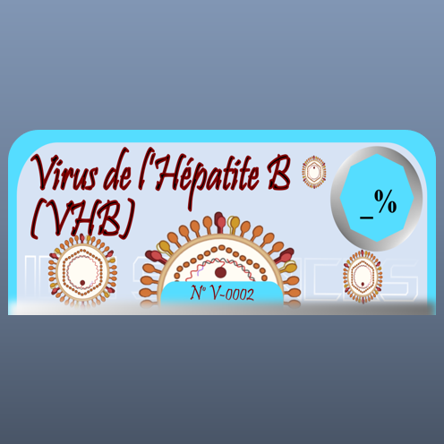 Virus de l’hépatite B (VHB)