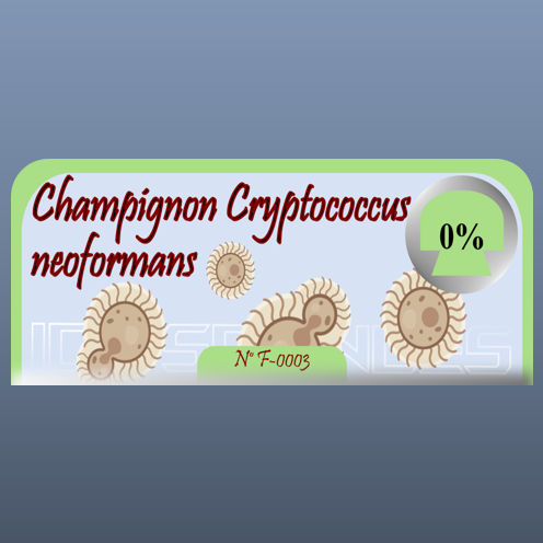 Champignon Cryptococcus neoformans