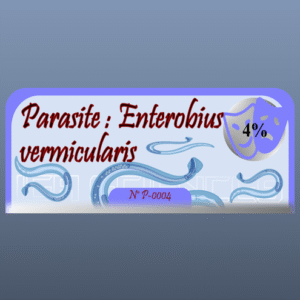 Parasite : Enterobius vermicularis