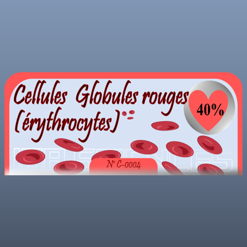 Cellules  Globules rouges (érythrocytes)