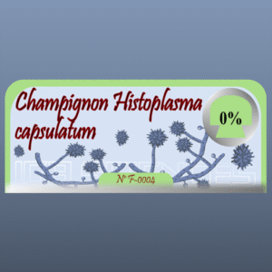 Champignon Histoplasma capsulatum