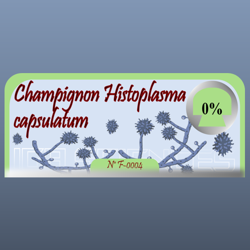 Champignon Histoplasma capsulatum