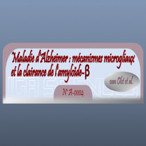 Maladie d'Alzheimer : mécanismes microgliaux et la clairance de l'amyloïde-β