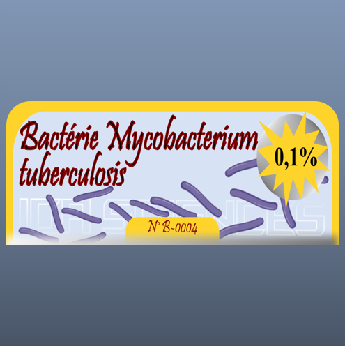 Bactérie Mycobacterium tuberculosis