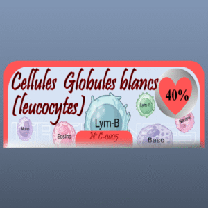 Cellules  Globules blancs (leucocytes)