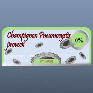 Champignon Pneumocystis jirovecii