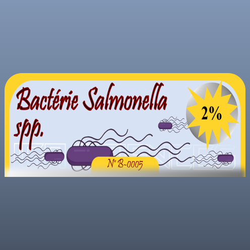 Bactérie Salmonella spp.