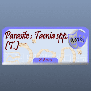 Parasite : Taenia spp. (T.)