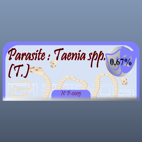 Parasite : Taenia spp. (T.)